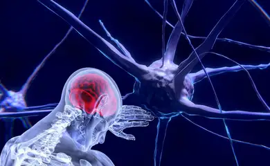 image-133 Neurotecnologia permitirá alterar funcionamento mental, diz cientista