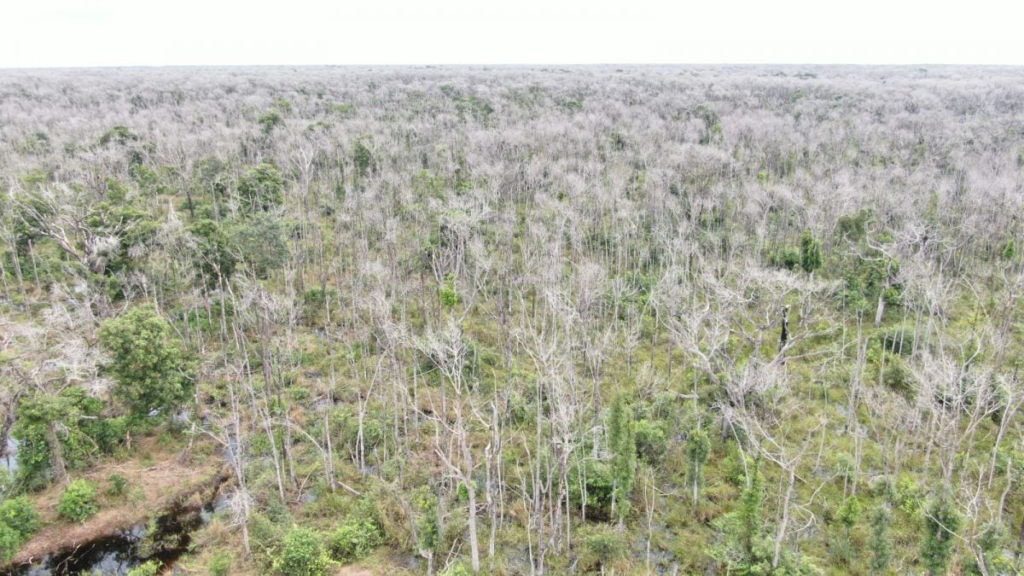 image-339-1024x576 Pecuarista pode ter de pagar mais de R$ 5 bilhões em multas ambientais