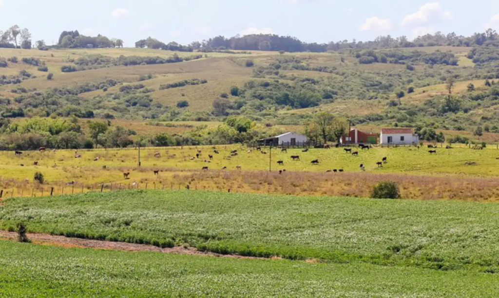 image-528-1024x613 Pampa é o bioma brasileiro menos protegido por unidades de conservação