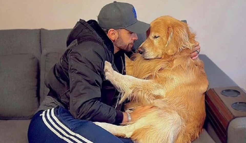 image-539 Anac e ministério vão investigar morte de cão em voo da Gol