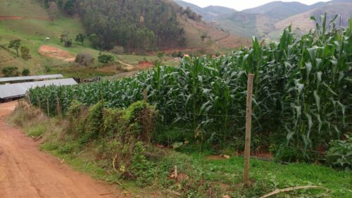 1b0f0d3f-1477-433c-99bd-8706a6f97dbd-500x281 Fazenda Luxo na região de Caratinga-MG