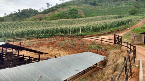 7bd515a2-71e2-40cb-a177-cba2132ffe2b-500x281 Fazenda Luxo na região de Caratinga-MG