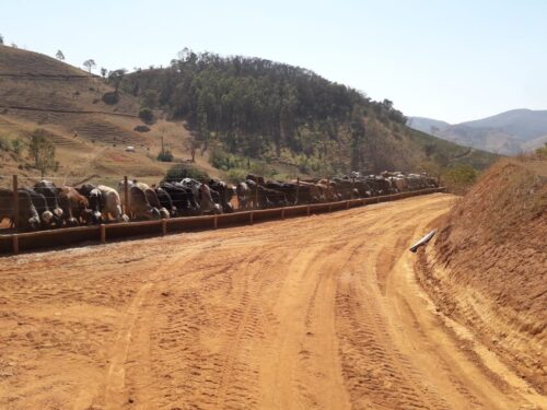 f082560d-1726-4f7f-86aa-6f695f0a89a1-500x375 Fazenda Luxo na região de Caratinga-MG