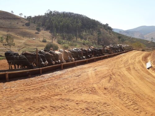 fe80393c-7b53-419b-b62b-ef633e33e9ef-500x375 Fazenda Luxo na região de Caratinga-MG