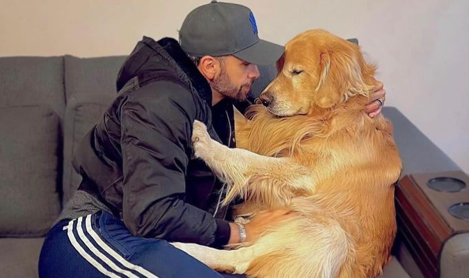 Câmara aprova projeto que obriga aéreas a rastrear transporte de pets