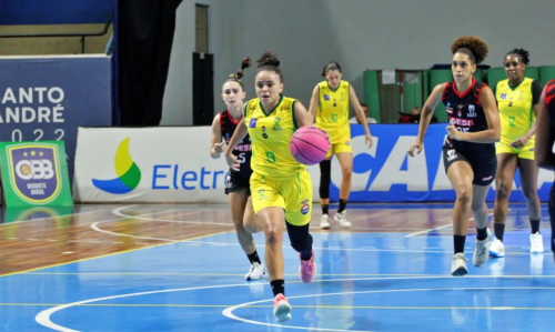 image-337-500x299 TV Brasil transmite dois jogos da LBF neste final de semana