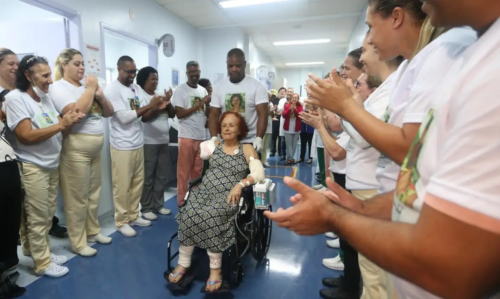 image-344-500x299 Justiça torna réus tutores de cães que atacaram escritora