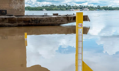 Sistema Agroflorestal promove redução de efeitos da seca na Amazônia