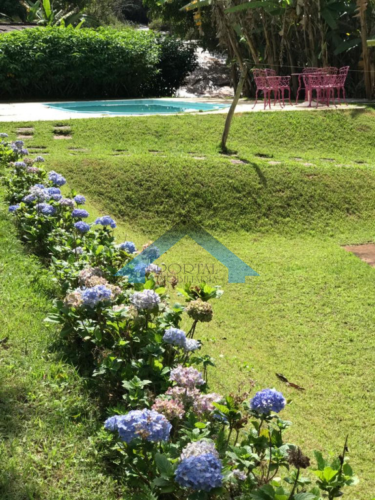 image-878-375x500 Chácara Hematita – Antônio Dias – MG - Ref 307 R$750.000,00.