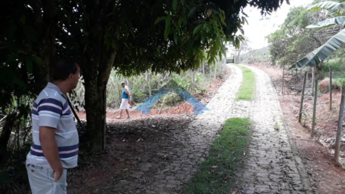 image-377-500x281 Chácara – São Domingos do Prata – MG