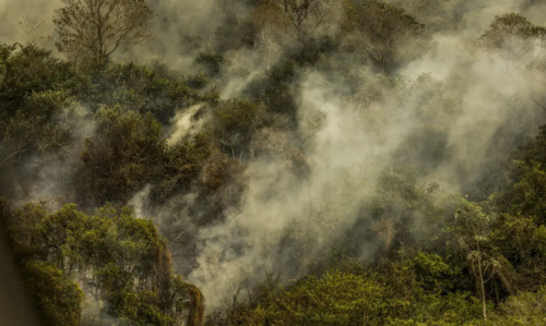 image-3-500x299 Incêndios podem ter degradado 9% do Pantanal nos últimos cinco anos